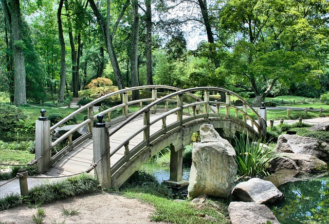 Городские парки